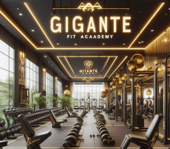 gigante-fit-academy Investimento em Franquias da Gigante Fit Academy: Oportunidade de Crescimento no Setor Fitness